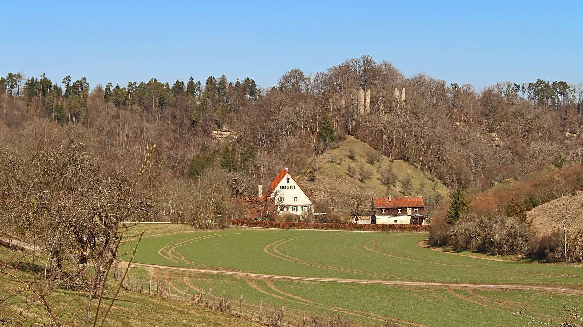 Neckarburg und Hofgut