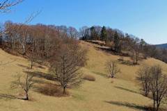 Naturschutzgebiet Irrenberg