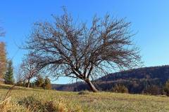 Naturschutzgebiet Roschbach