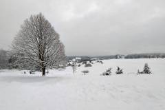 Wintermärchen - Rückweg - Nähe Parkplatz