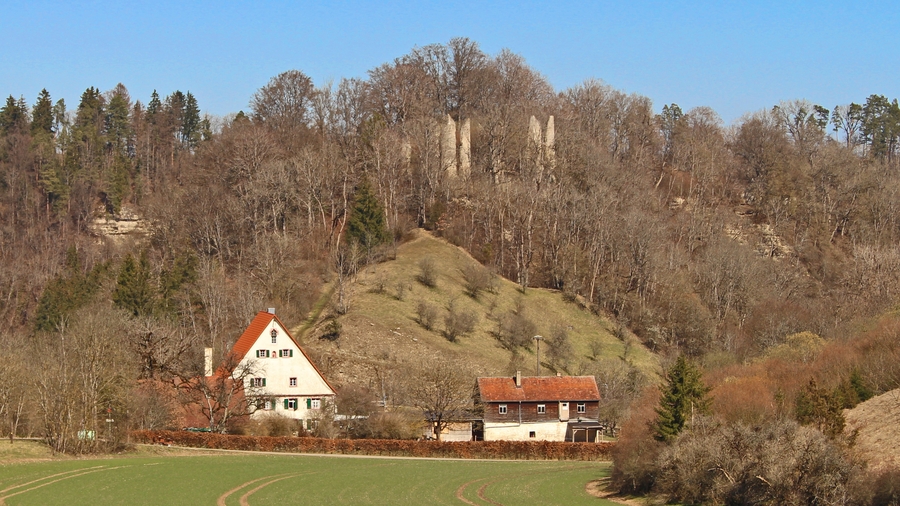 Die Neckarburg bei Rottweil