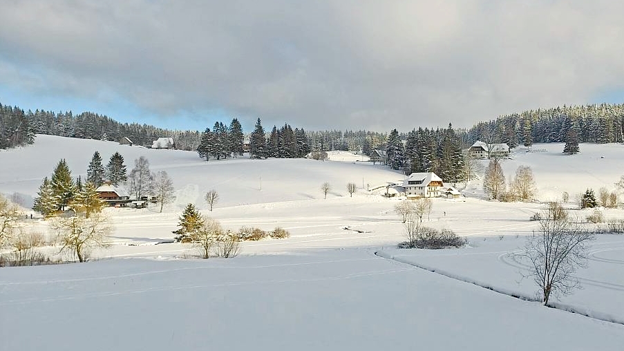 Winterwanderweg Schönwald