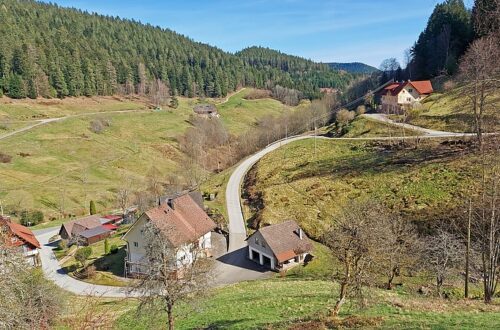 Wittichen Geologische Wanderung