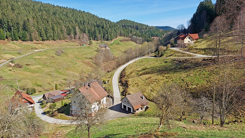 Wittichen Geologische Wanderung