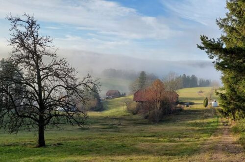 Rundwanderweg Langenschiltach Titelbild