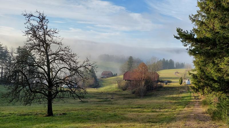 Rundwanderweg Langenschiltach Titelbild