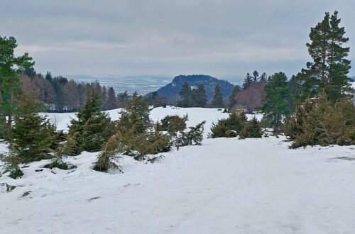 Schneewalzer Burgfelden