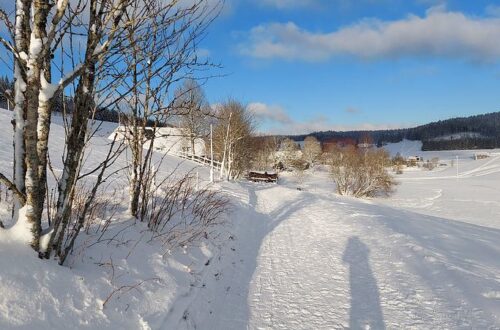 Winterwanderung Schönwald