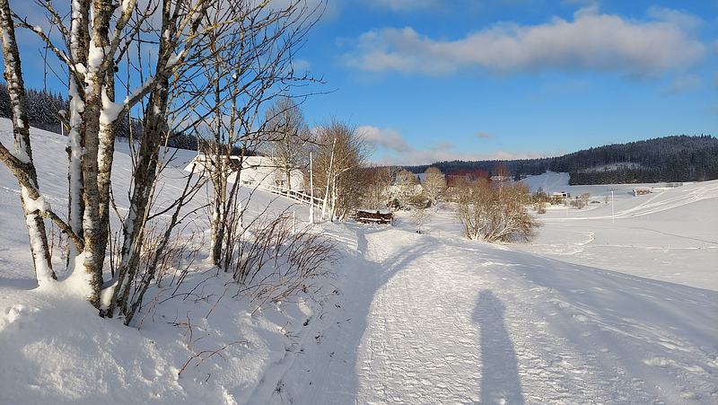 Winterwanderung Schönwald