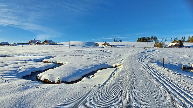 Langlaufen ab Escheck