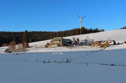 Rund um Schönwald