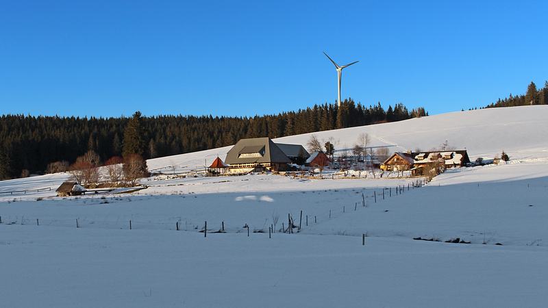 Rund um Schönwald