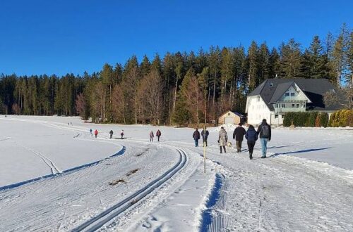 Winterwanderweg Tennenbronn