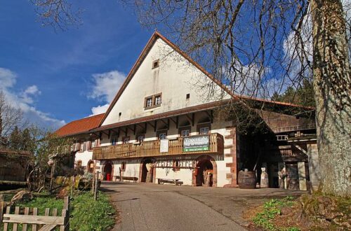 Vogt auf Mühlstein