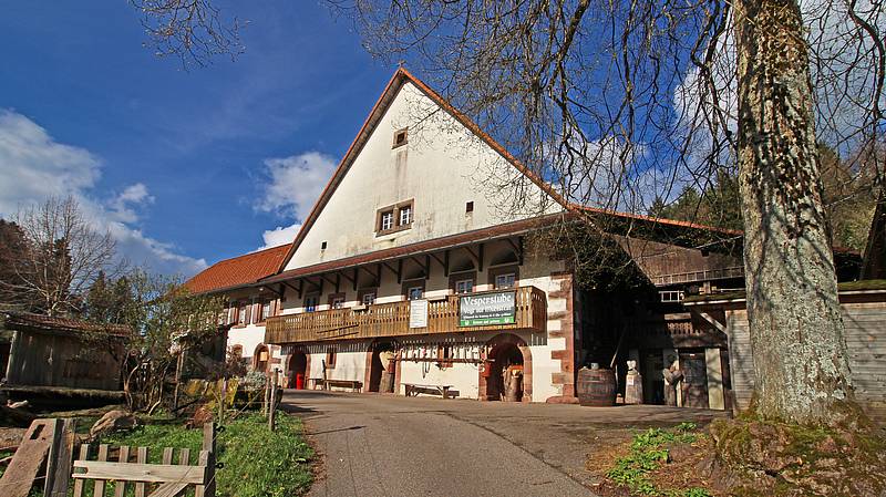 Vogt auf Mühlstein