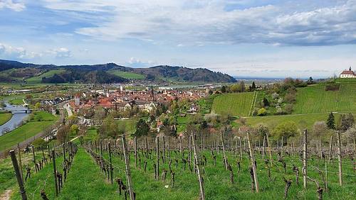 Wanderung von Gengenbach zum Heidenstein