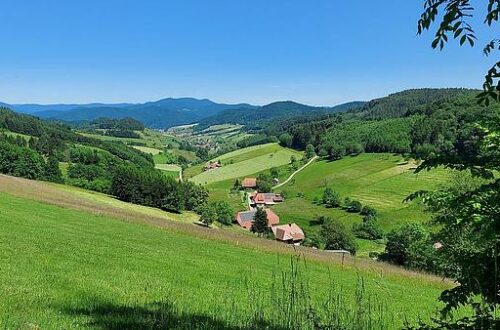 Kinzigtalsteig Etappe 8 Icon - Das Welschensteinachtal