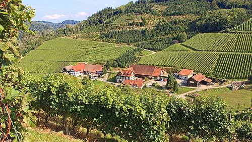 Wanderung Durbacher Weitblick