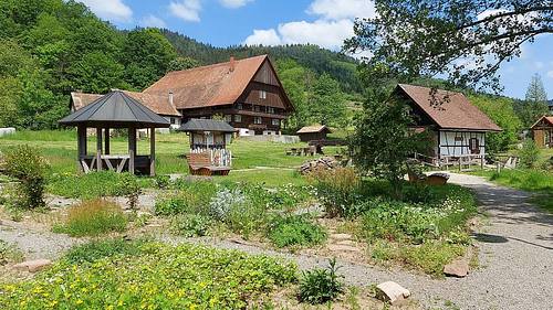 Wanderung Kinzigtäler Jakobusweg von Zell am Harmersbach nach Gengenbach