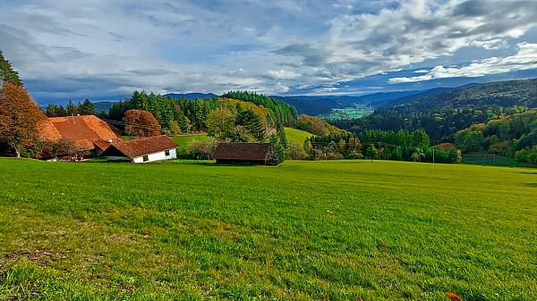 Hansjakobweg - Von Steinach nach Haslach